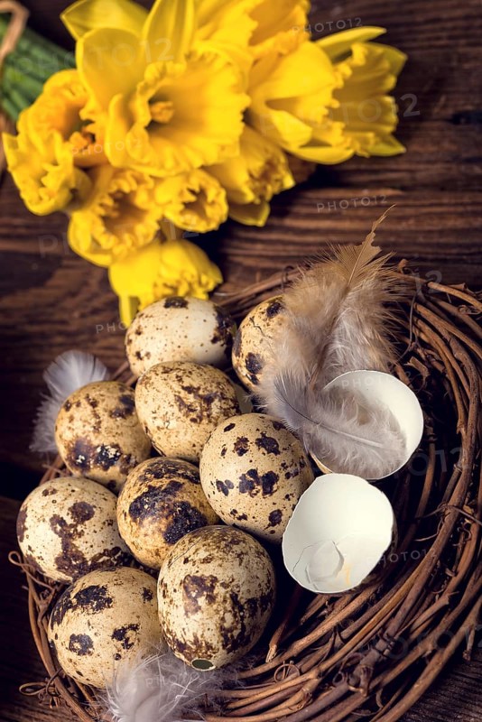 Easter eggs and daffodils