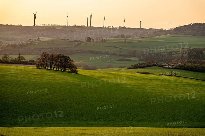 Gentle green hills with a group of trees and wind turbines on the horizon at sunset, between Bad Pyrmont and Sonneborn, Lower Saxony, Germany, Europe
