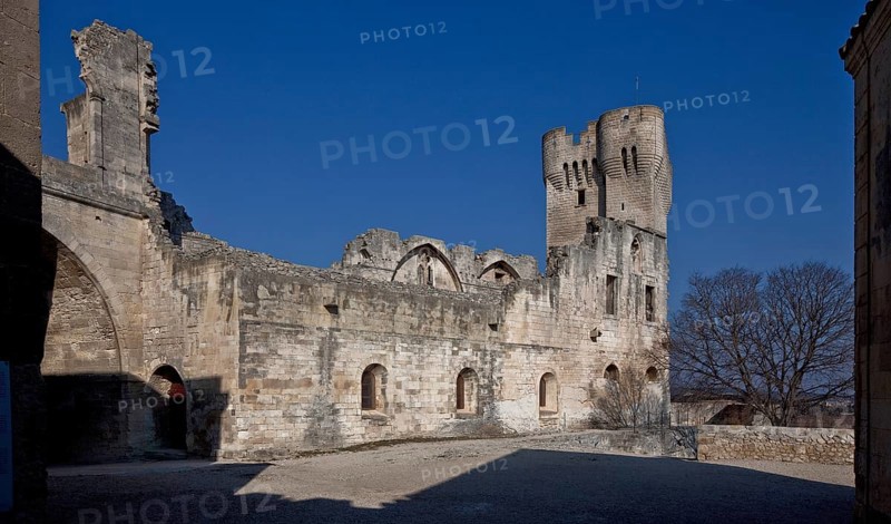 Frankr Montmajour b Arles Benedictine abbey 59860 Romanesque-Gothic cloister ruins behind donjon