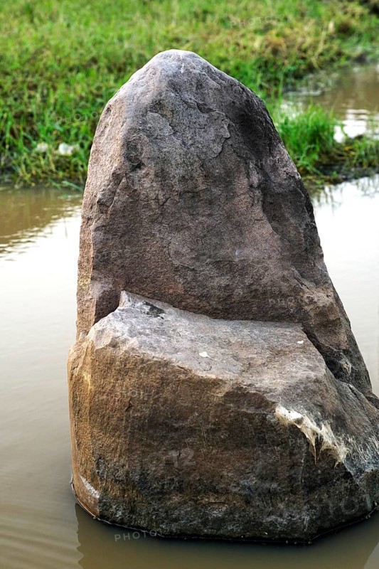 Gotihawa is birthplace of Krakuchhanda Buddha, Ashoka pilgrimage pillar, UNESCO World Heritage, Lumbini, Nepal, Asia