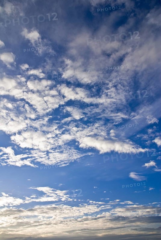 White clouds 2008