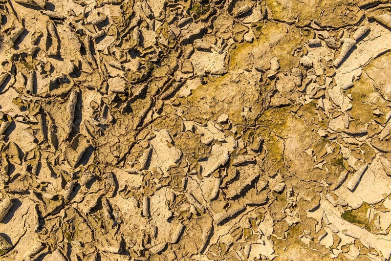 Dried-out layers of earth, structure, background, Schleswig-Holstein, Germany, Europe