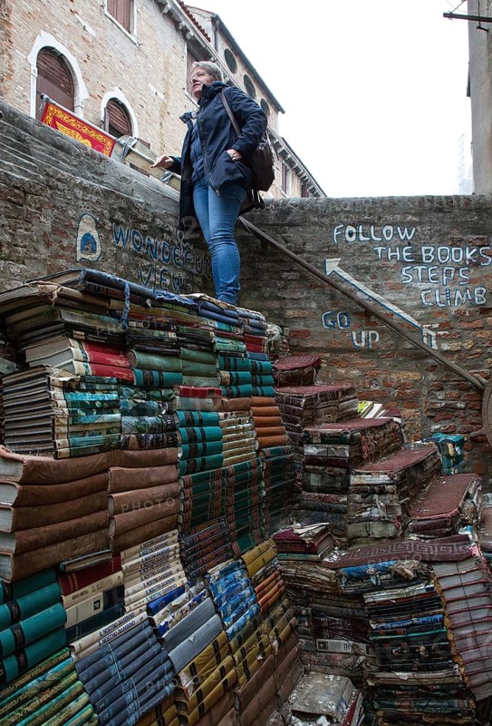 Italy Venice Bookshop ACQUA ALTA -373 in Calle Lunga Santa Maria Formosa in the Castello district Partial view of the courtyard behind the wall of the Rio della Tetta