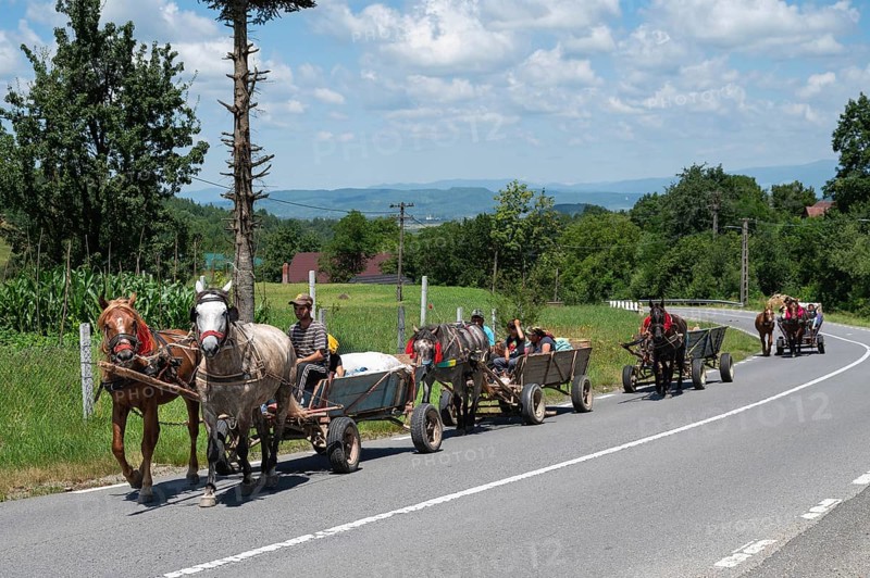 MARAMURES, ROMANIA - JUNE 24, 2024: The camp of Gypsies on the road