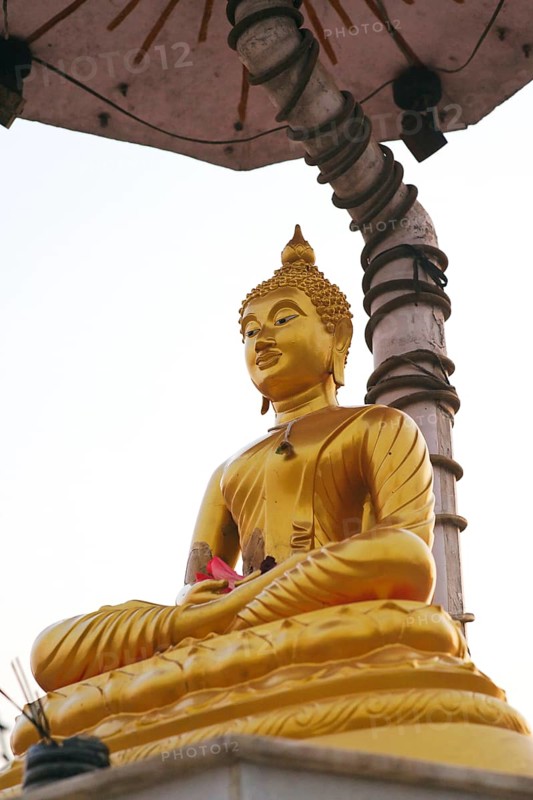 Golden Statue of lord Buddha, Kapilawastu, UNESCO World Heritage lord Buddha's birthplace at Lumbini, Nepal, Asia