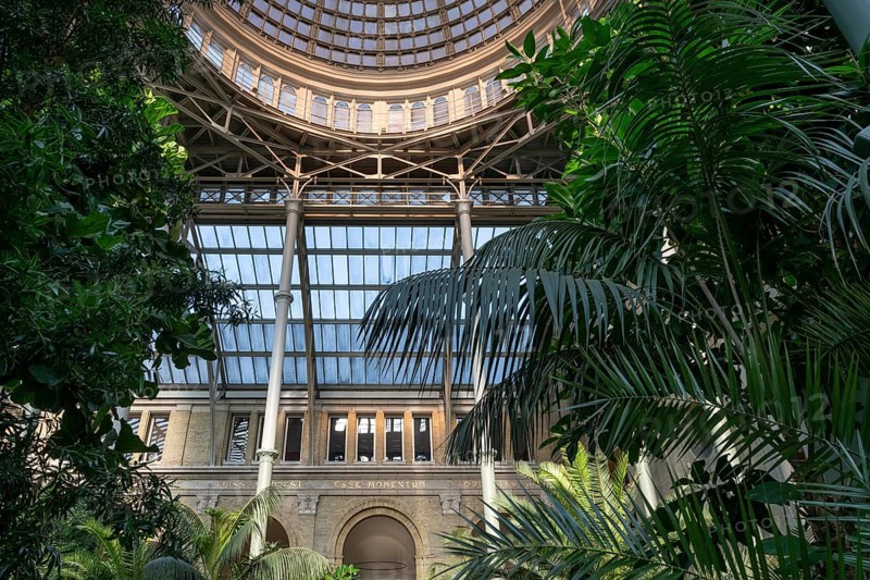 Dome, Palm Garden, Ny Carlsberg Glyptotek or New Carlsberg Glyptothek, Art Museum for Sculpture and Painting, architects Vilhelm Dahlerup and Hack Kampmann, Copenhagen, Denmark, Europe