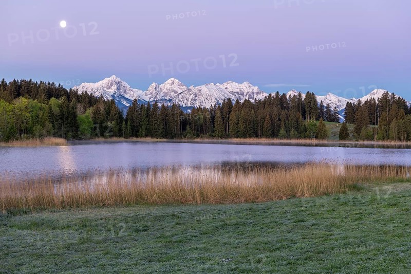 Hegratsrieder See near Füssen, Allgäu Alps, snow, moon, dawn, Allgäu, Bavaria, Germany, Europe