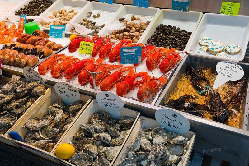 Various seafood such as lobsters and oysters on a market stall, carefully arranged, fish market, Trouville-sur-Mer, Trouville, Normandy, France, Europe