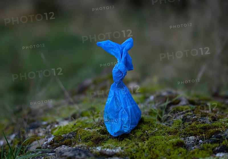 Dog excrement bag, blue, bag with dog excrement, disposed of in nature, Fellbach, Baden-Württemberg, Germany, Europe