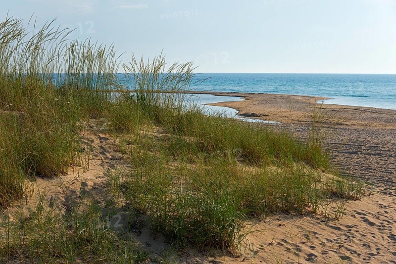 Coastal landscape with grasses on dunes, sea and blue sky, beach at Nea Kallikratia, Chalkidiki, Halkidiki, Central Macedonia, Greece, Europe
