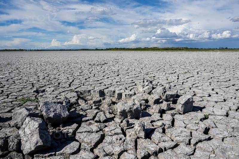 Cracked earth, heavily dried out Zicksee, Lake Neusiedl-Seewinkel National Park, Burgenland, Austria, Europe