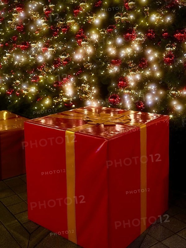 Parcel under the Christmas tree, decoration, Roermond, Netherlands