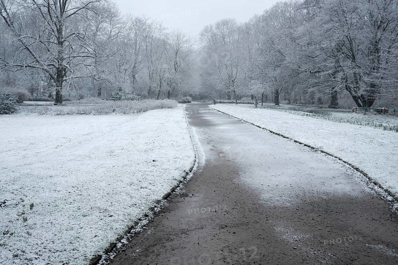 Winter road in the park