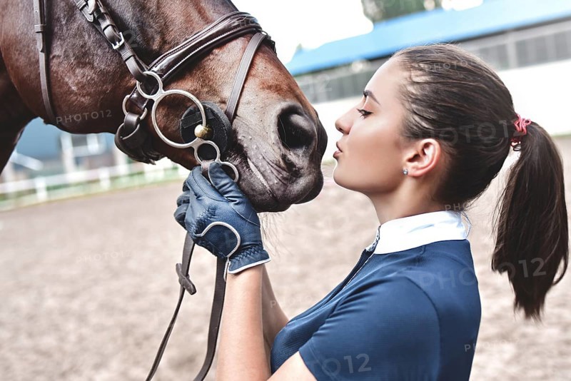 Close up hands of woman hugging a horse. Young girl petting her horse in stable. Equine therapy concept. Love between people and animals