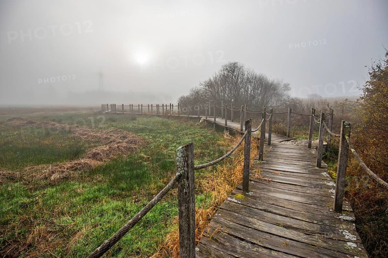 A wooden walkway or footbridge leads through a nature reserve in dense fog. Landscape shot in the middle of nature in autumn. Baldenau castle ruins, Morbach, Hunsrück, Rhineland-Palatinate