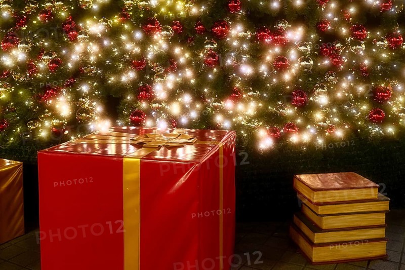 Parcel and books under the Christmas tree, Decoration, Roermond, Netherlands