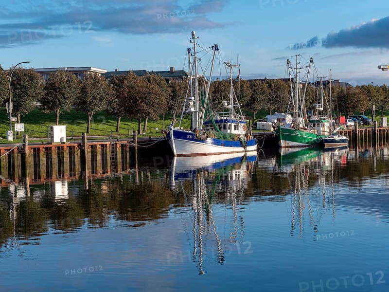Crab cutter in the harbour of Büsum with reflection in the sea and illuminated by the morning sun, Unesco World Heritage Wadden Sea, Büsum, North Sea, North Frisia, Schleswig-Holstein, Germany, Europe