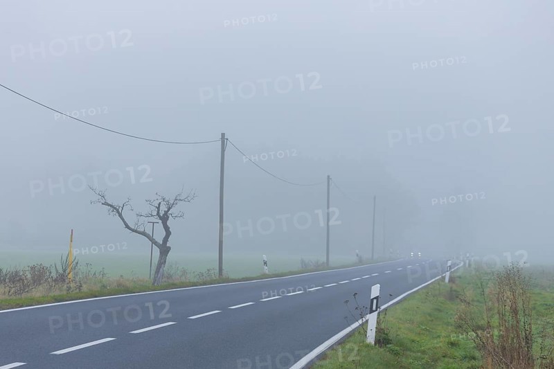 Street with foggy atmosphere near Steinbach, foggy atmosphere, Steinbach, Saxony, Germany, Europe