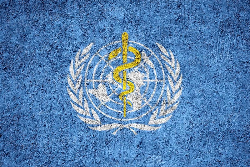 WHO Flag painted on the cracked grunge concrete wall, World Health Organization
