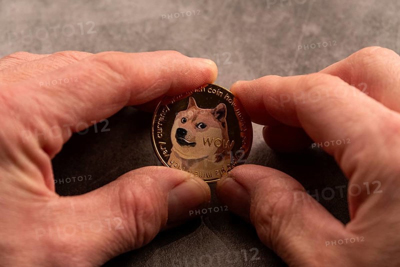 One hand holds a coin with the famous Doge meme and the inscription Wow on a grey background