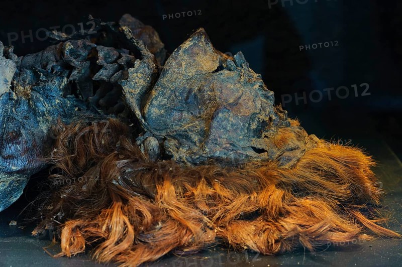 Bog body, by Husbaeke, Landesmuseum Oldenburg, Lower Saxony, Germany, Europe