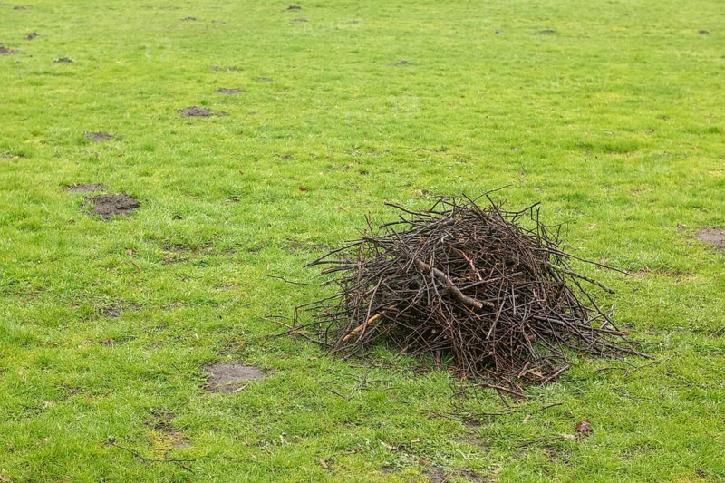 Small pile of cut branches on a green meadow