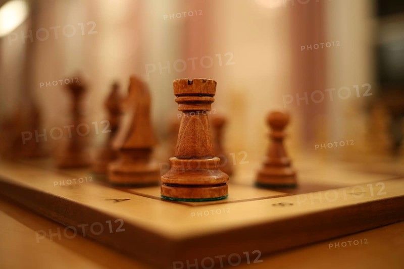 Chess pieces on a chessboard, Leoben, Styria, Austria, Europe