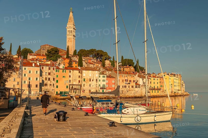 Harbour in the old town with Sveta Eufejima church, Rovinj, Istria, Croatia, Europe