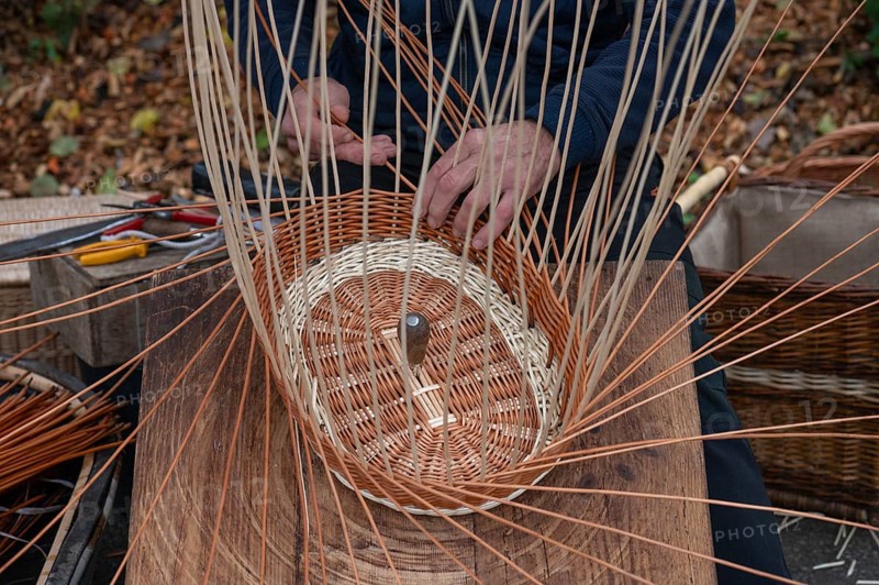 Basket is woven from willow rods (Salix viminalis), Franconia, Bavaria, Germany, Europe