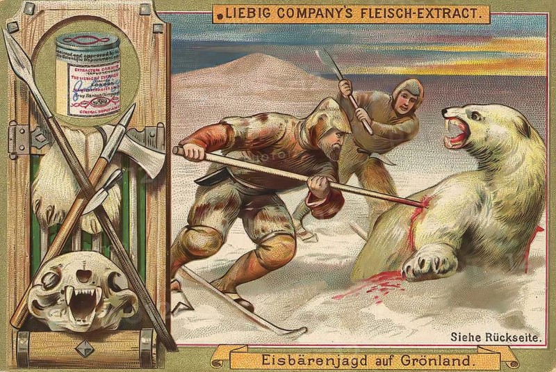 Picture series Hunting, Polar bear hunt in Greenland, Liebig picture, digitally restored reproduction of a collector's picture from ca 1900, public domain, exact date unknown, Two hunters fighting with a polar bear in a snowy arctic landscape