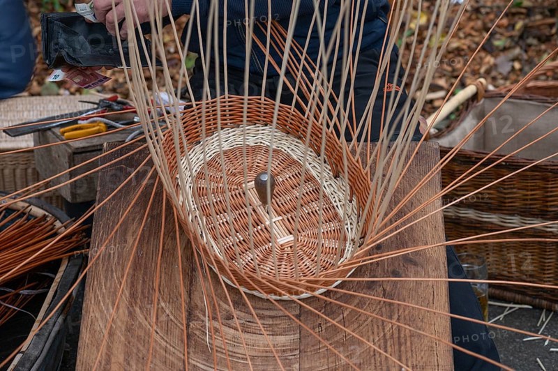 Basket is woven from willow rods (Salix viminalis), Franconia, Bavaria, Germany, Europe