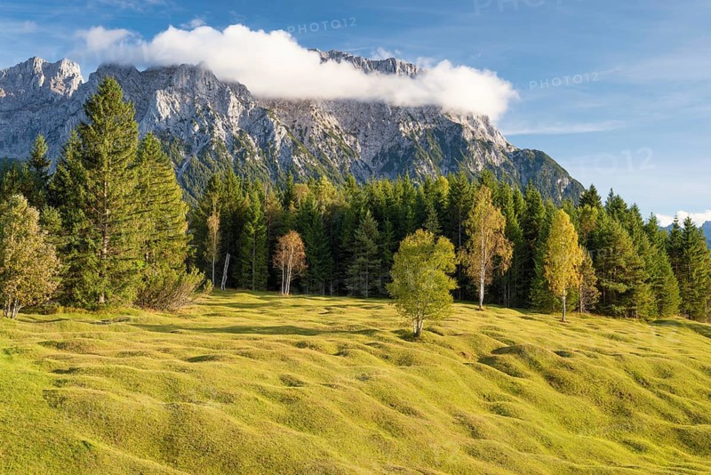 Buckelwiesen between Mittenwald and Krün, Werdenfelser Land, Upper Bavaria, Bavaria, Germany, Europe