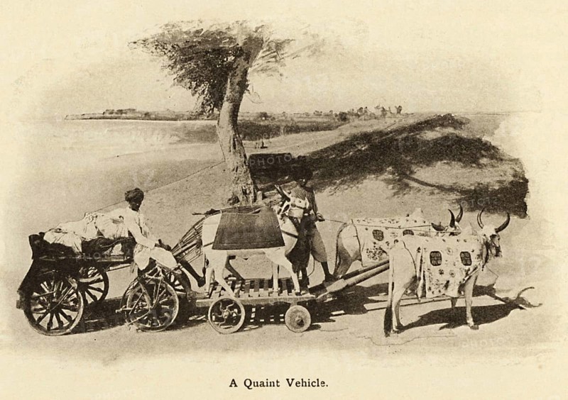 A Quaint Vehicle Such bullock carts are now lost in antiquity, Drawn in early 1900's, Saurashtra, Gujarat, India, Asia
