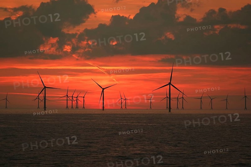 Baltic Sea wind farm at sunset