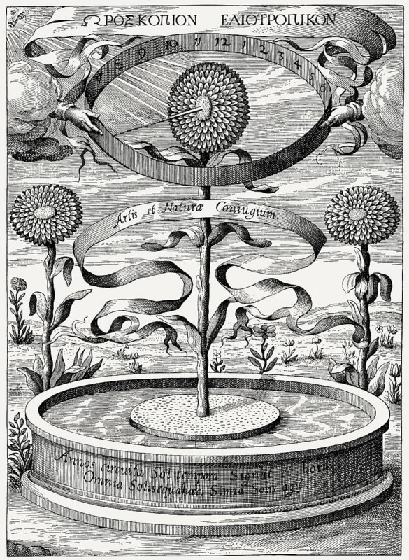 Heliotropic sunflower clock by Athanasius Kircher, Magnes, sive de arte Magnetica, 1641