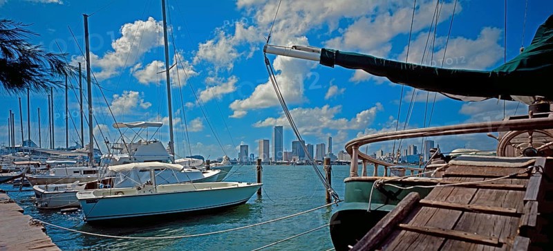 Marina on the Mac Arthur Causeway, Miami, Florida, USA, North America