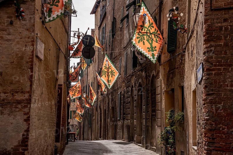 Contrade flag of the Selva-Rhino city district hanging in a street in downtown Siena, Italy, Europe