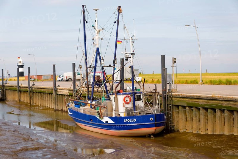 Shrimp trawlers moored in the sieve harbour on the Wadden Sea, Wremen, Cuxhaven, Lower Saxony
