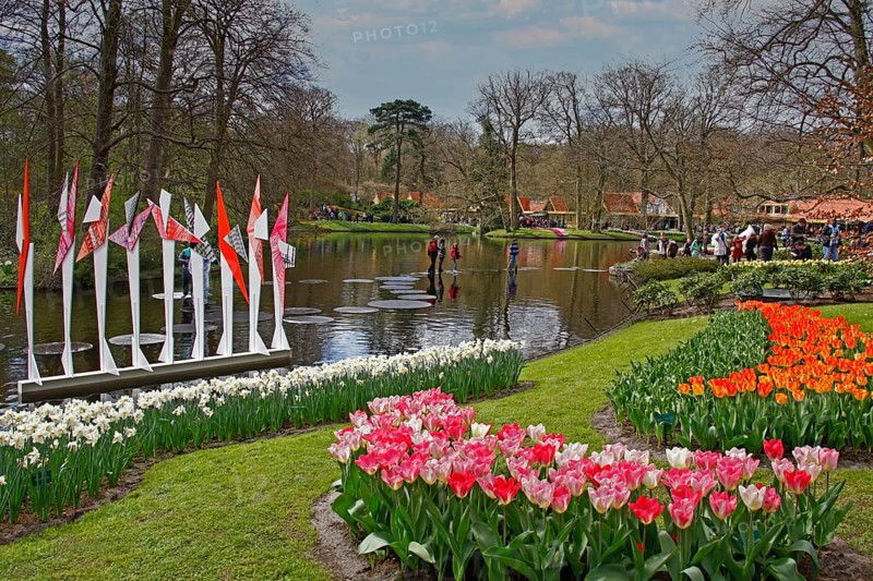 Tulip blossom, flower bed tulips, daffodils, lake, Wilhelmina Pavilion, spring, spring flower-bed, visitors, Keukenhof, Lisse, Netherlands