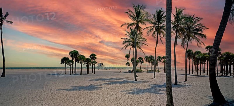 Beach at Crandon Park, palm trees, Miami, Florida, USA, North America