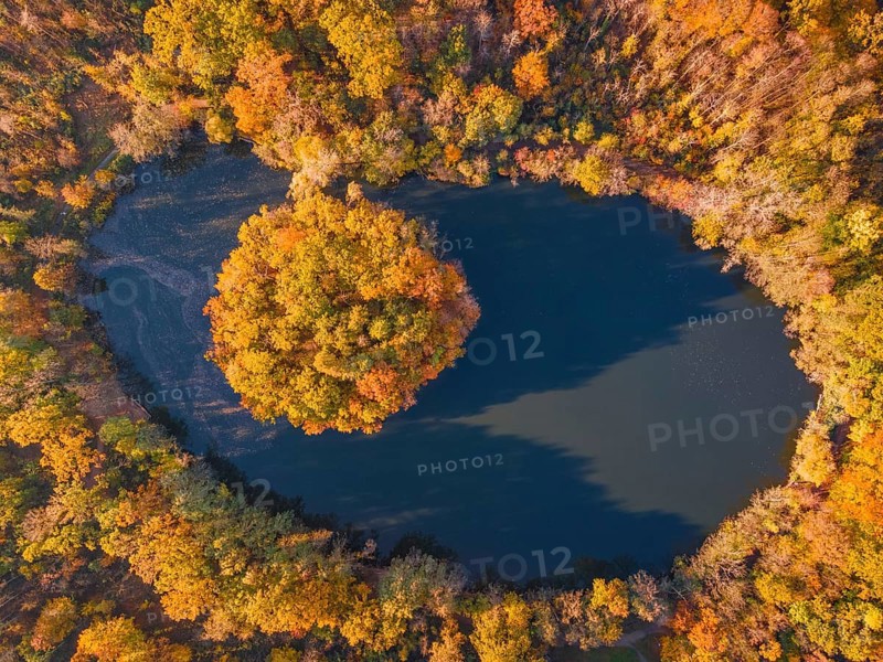 The leaves on the trees around the Gänseweiher pond near Maintal-Bischofsheim, close to Frankfurt am Main, have turned a colourful autumnal hue. Some trees have already shed their leaves. The light of the autumn sun bathes the landscape in golden light. (Aerial photo taken with a drone), Gänseweiher, Maintal-Bischofsheim, Hesse, Germany, Europe