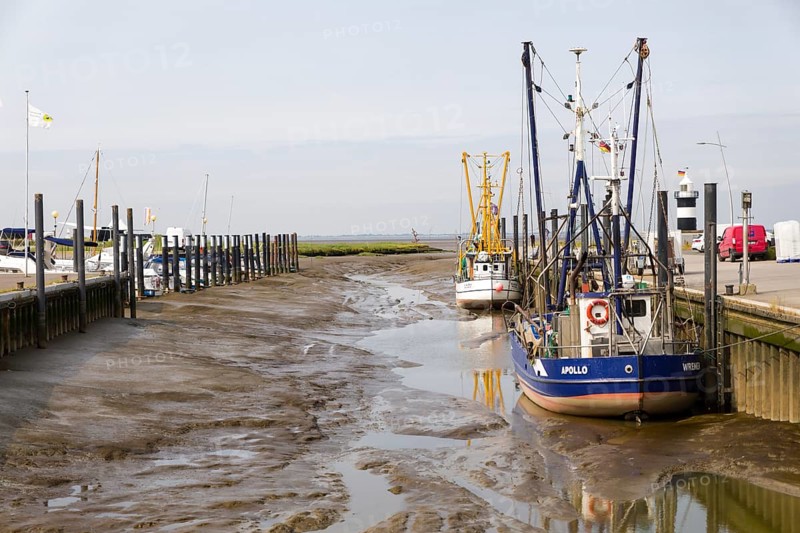 Shrimp trawlers moored in the sieve harbour on the Wadden Sea, Wremen, Cuxhaven, Lower Saxony