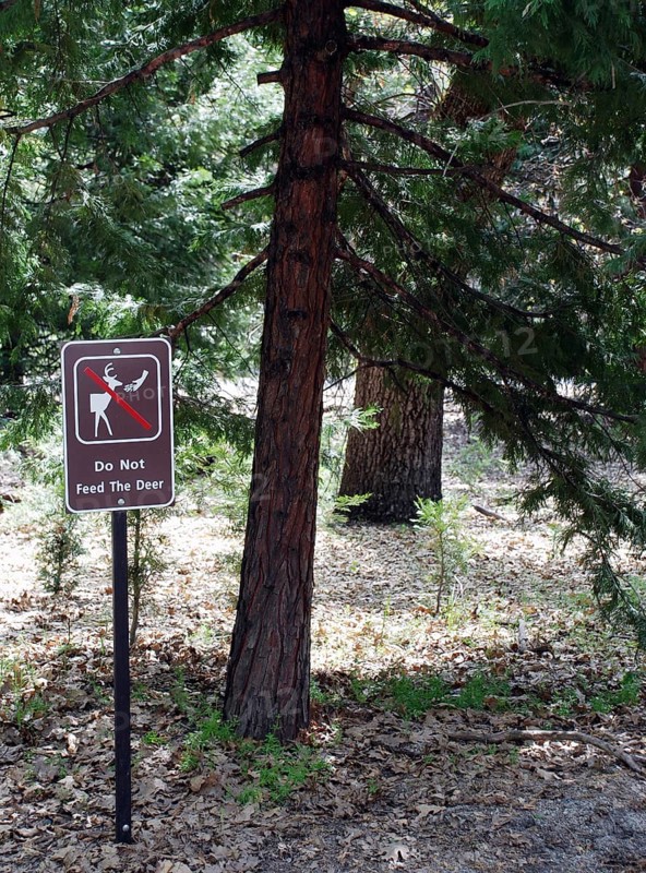 Deer sign, World Heritage Site 1984, Yosemite National park, California, USA United States of America