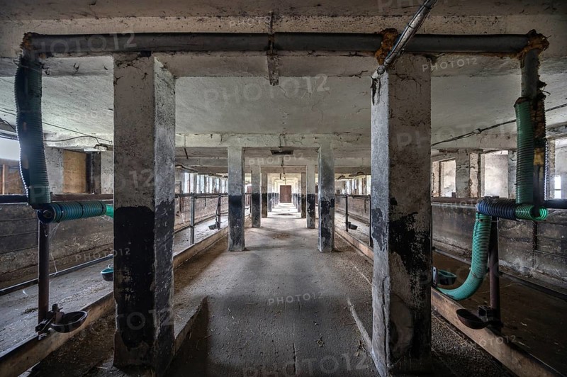 Empty cowshed of a former LPG of the GDR, Mecklenburg-Vorpommern, Germany, Europe