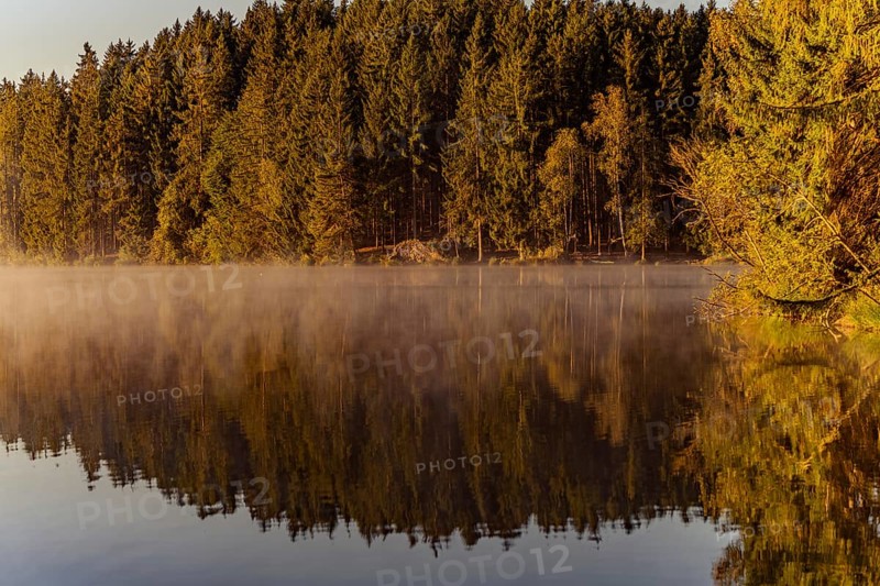 Autumnal morning atmosphere at Schmutter Weiher with fog near Lechbruck, Halblech and Roßhaupten in Allgäu, Bavaria, Germany, Europe