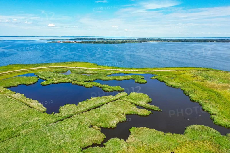 Aerial view, drone photo: lagoons and reeds on the island Riether Werder, Rieth, in the background the village Nowe Warpno, nature park Park Am Stettiner Haff, Mecklenburg-Vorpommern, Germany, Europe