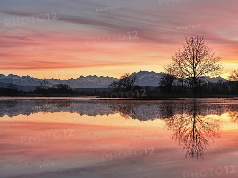 Pilatus reflected in the flooded nature reserve in the evening light, Reussspitz, Hünenberg, Canton Zug, Switzerland, Europe