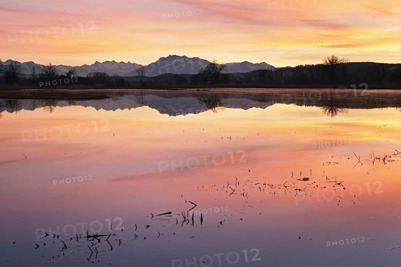 Pilatus reflected in the flooded nature reserve in the evening light, Reussspitz, Hünenberg, Canton Zug, Switzerland, Europe