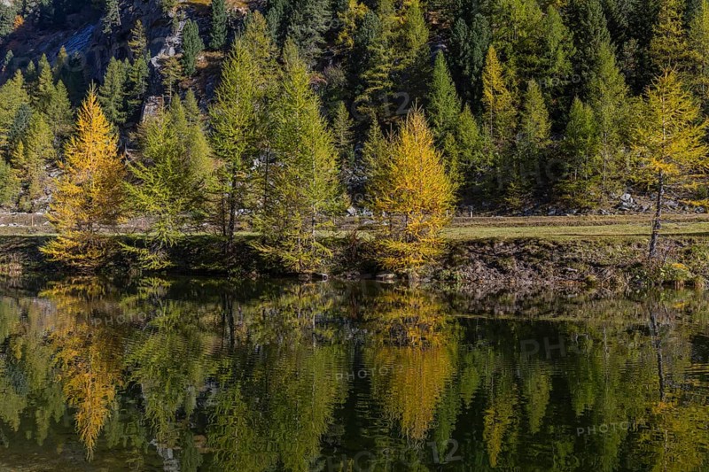 Little pond of the Malta river with a mountain forest in fall foliage on a bright sunny morning. Seen from the Malta Hochalm road. Carithia, Austria, Europe