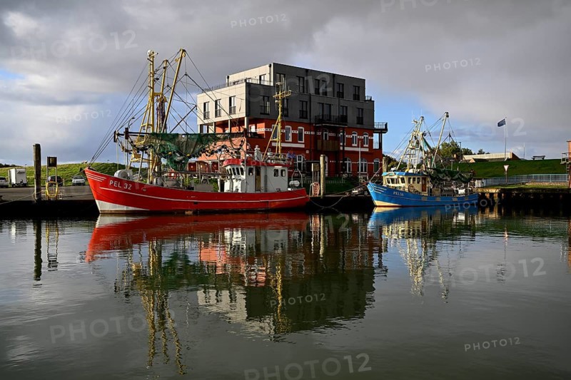 Fishing boats in the harbour of Tammensiel, Pellworm Island, Schleswig-Holstein Wadden Sea National Park, North Frisia, Germany, Europe